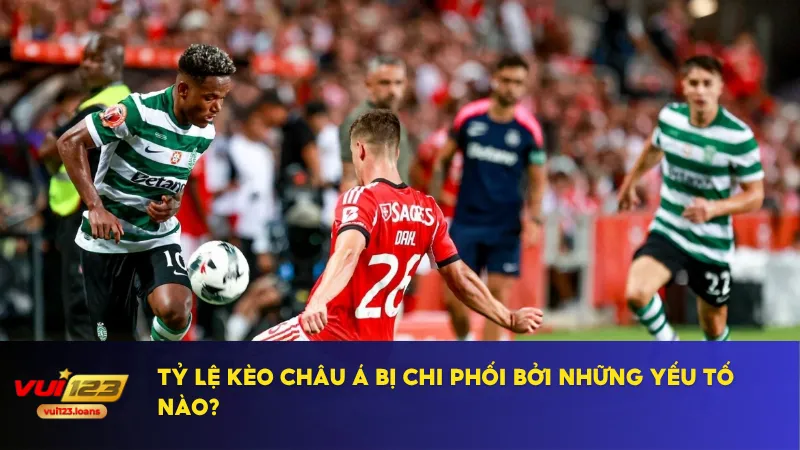 Phong độ đội bóng là chỉ số quan trọng nhất khi nhà cái ra kèo